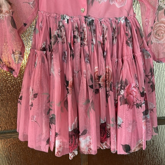 Ted Baker Valentina Floral Print Tulle Dress size 3t - Picture 12 of 13